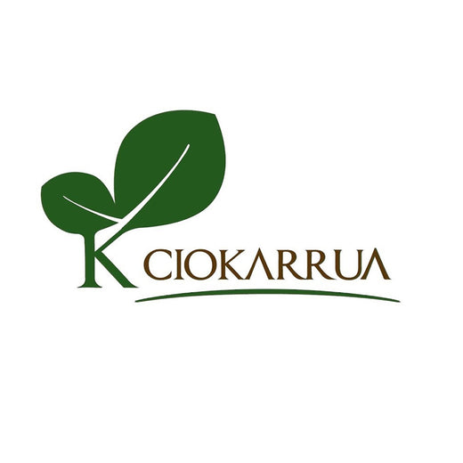 Ciokarrua