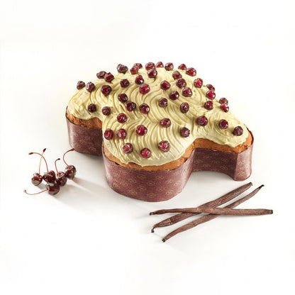 Black cherry Colomba