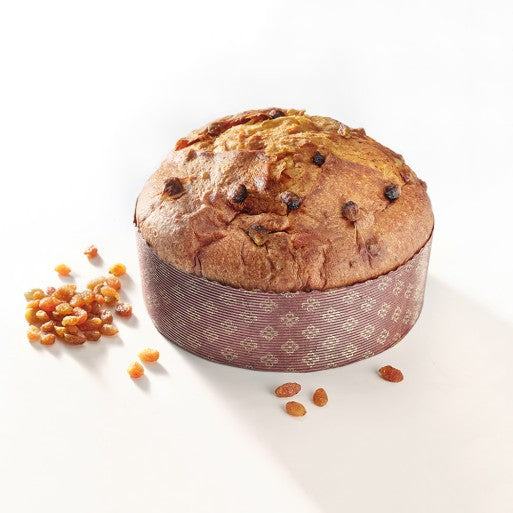 Classic Panettone